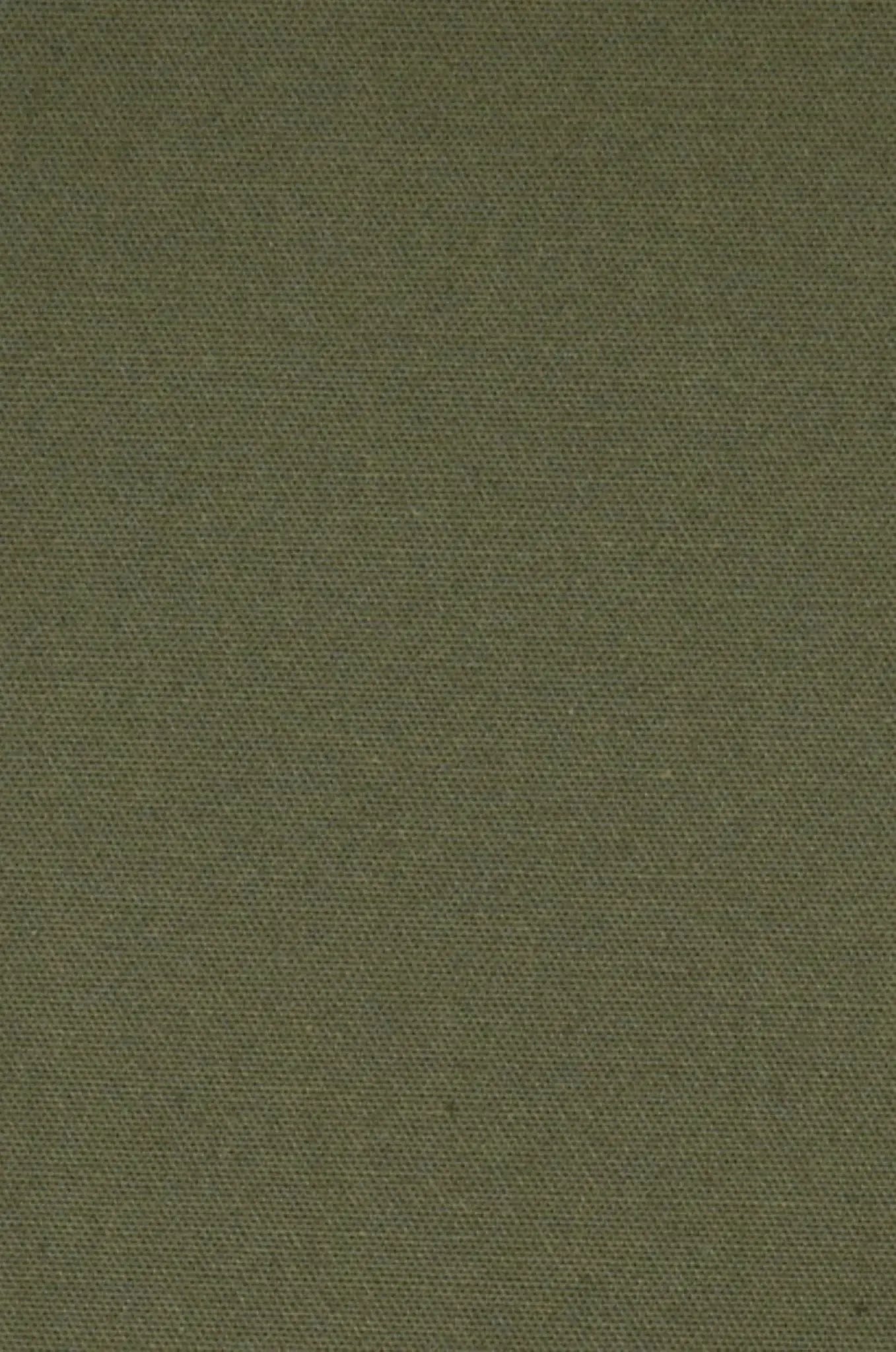 Blutailor
