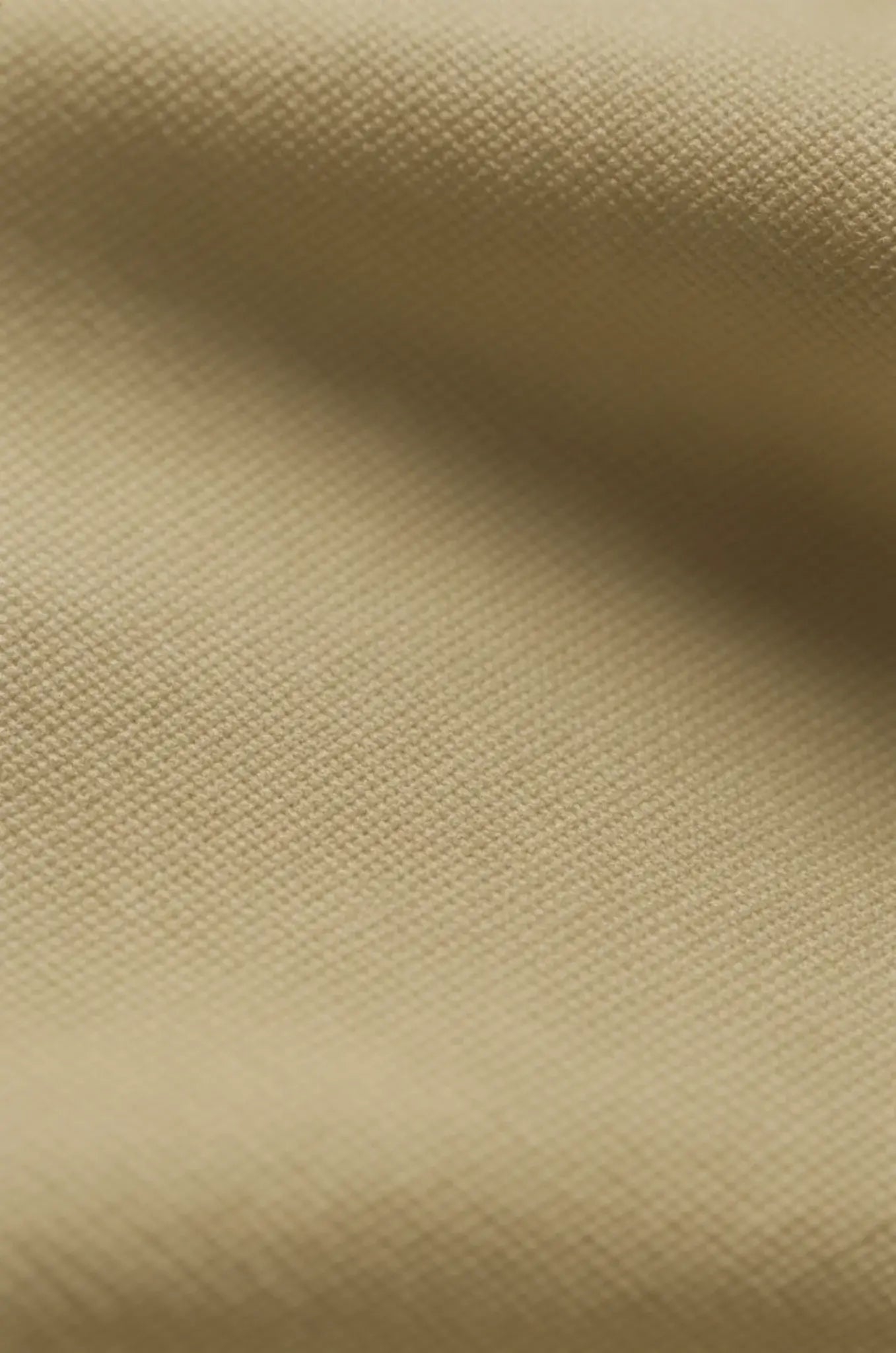 Blutailor