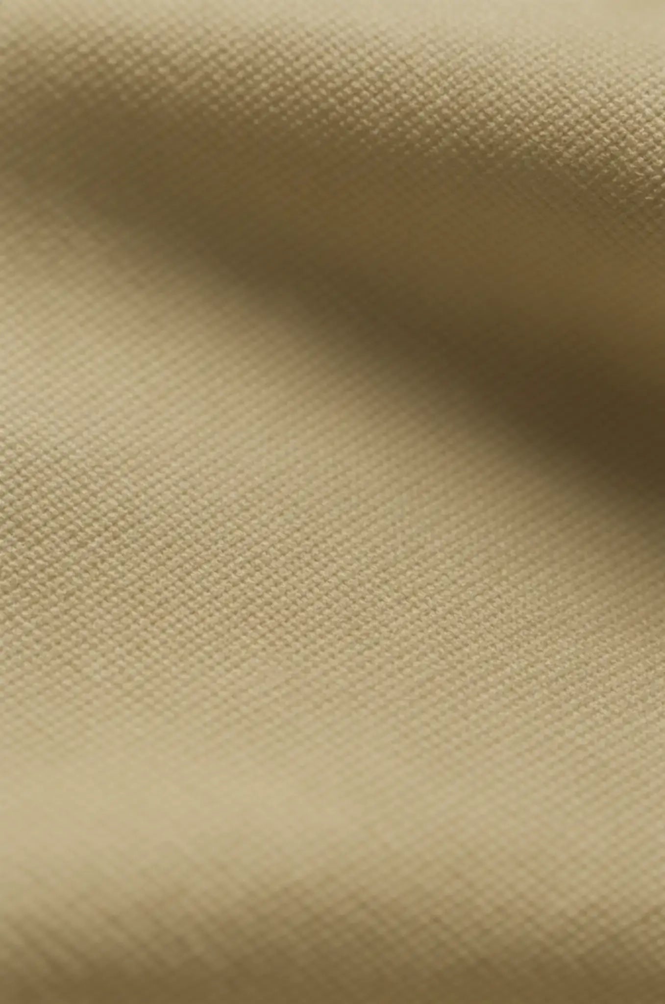 Blutailor