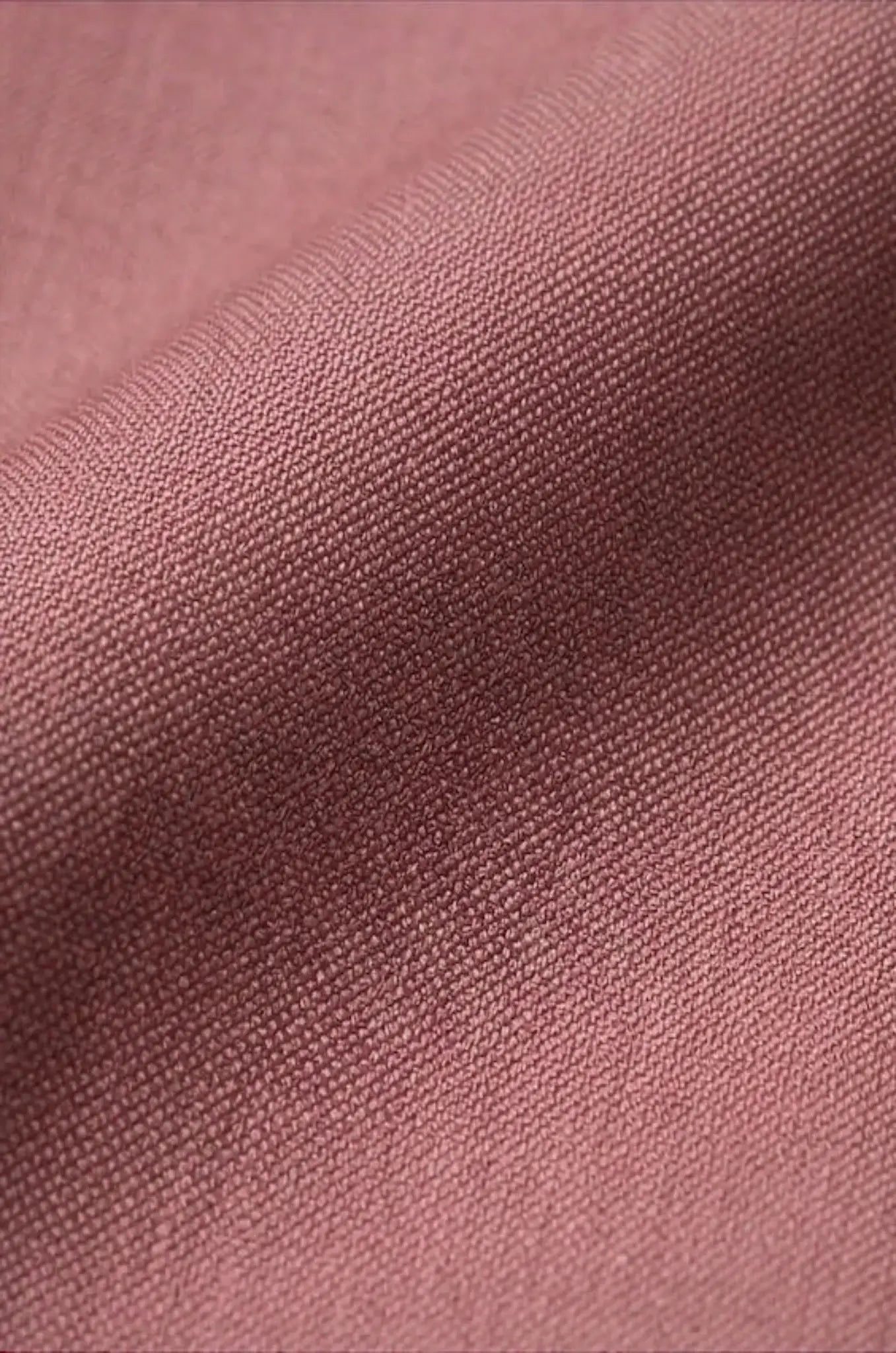Blutailor